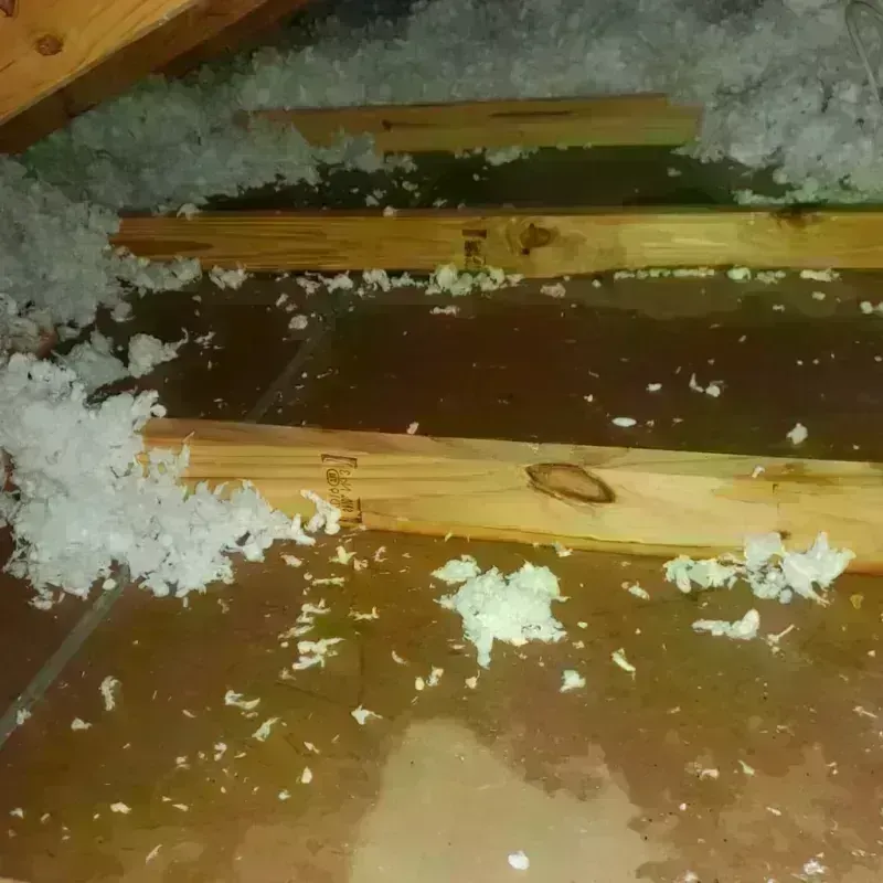 Attic Water Damage in Naval Academy, MD